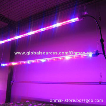 Hydroponics LED grow lights for indoor plants growth vegetables, fruits, flowers, horticulture
